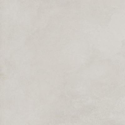 SG602520R Evolution Blanco матовый 60x60