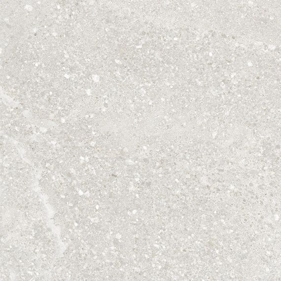SG646320R Pallada светло-серый обрезной 60х60