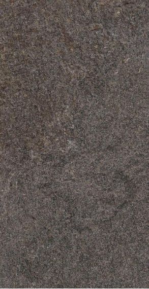 SGW62W13100A Плитка Flamel Dark 31х61