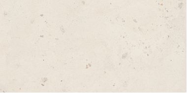 SHELL6 12 60x120