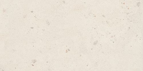 SHELL6 12 60x120