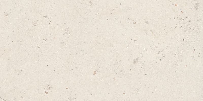 SHELL6 12 60x120