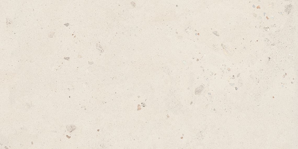 SHELL6 12 60x120