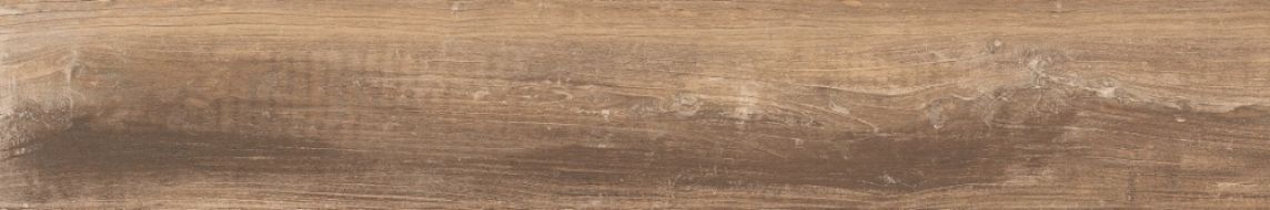 SHINE BEIGE RET. 20x120