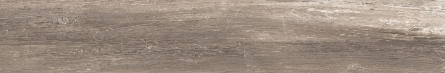 SHINE GREY RET. 20x120