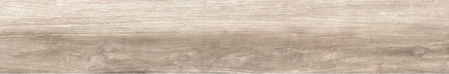SHINE IVORY RET. 20x120