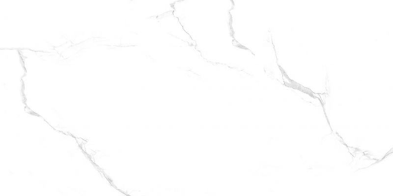 SILVER STATUARIO GLOSSY 60x120