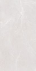 SLL61281G Керамогранит Shell Ice Struct. 60x120