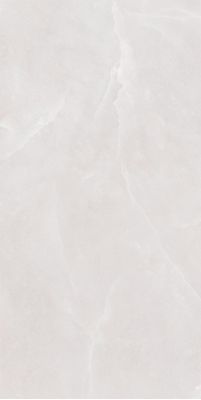 SLL61281G Керамогранит Shell Ice Struct. 60x120