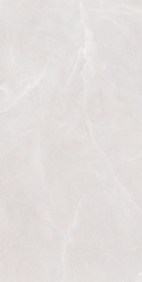 SLL61281G Керамогранит Shell Ice Struct. 60x120