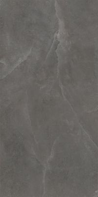 SLL61284G Керамогранит Shell Grey Struct. 60x120