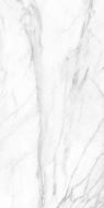 SM01 Supreme Platinum Неполированный Рект. 60x120x9
