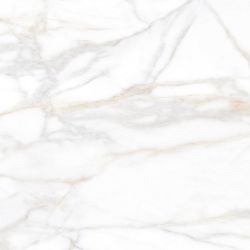 SM02 Supreme неполированный 60x60x10