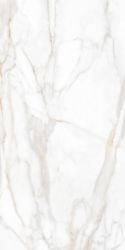 SM02 Supreme Gold Неполированный Рект. 60x120x9
