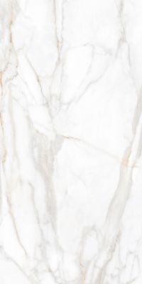 SM02 Supreme Gold Неполированный Рект. 60x120x9