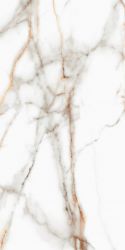 SM03 Supreme Ferrum Полированный 60x120x9