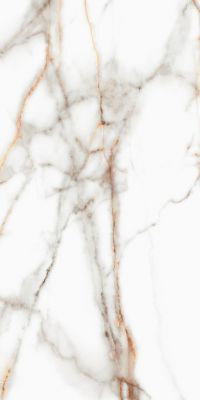 SM03 Supreme Ferrum Полированный 60x120x9