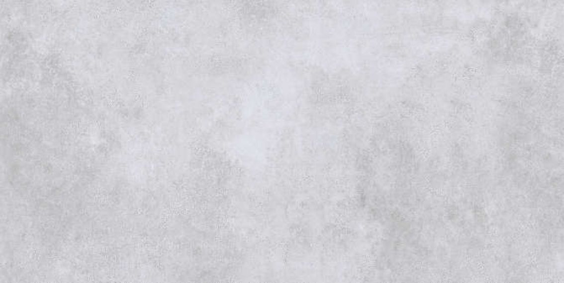 SN0L06M01 Керамогранит Silent Grey 600x1200