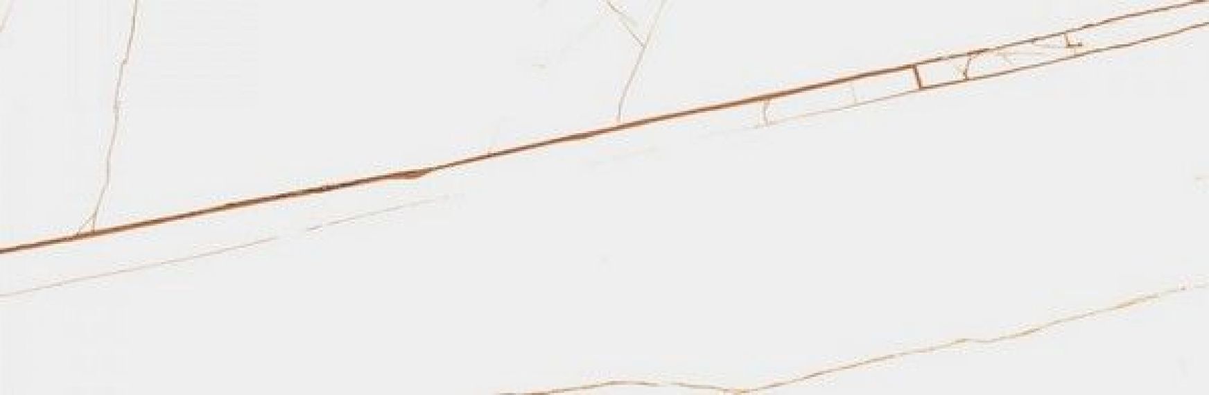 SPIDER BROWN Polished 240x80