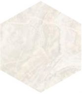 SP/AMR/d01-cut/450x520