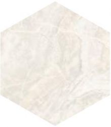 SP/AMR/d01-cut/450x520