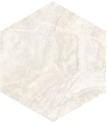 SP/AMR/d01-cut/450x520