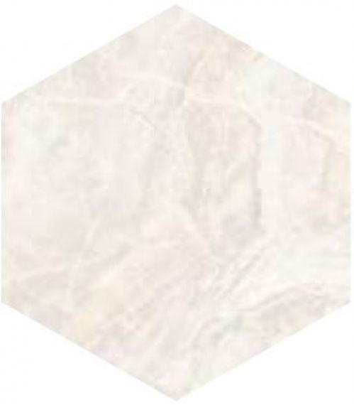 SP/AMR/d01-cut/450x520