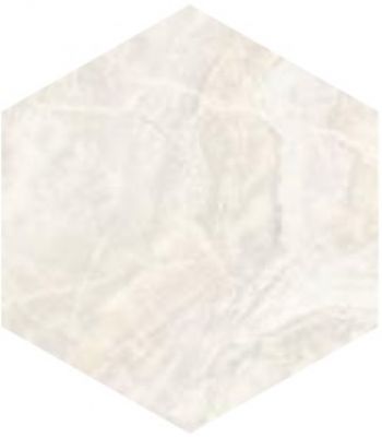 SP/MR/d01-cut/450x520
