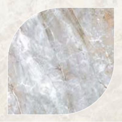 SP/d08-cut/600x600