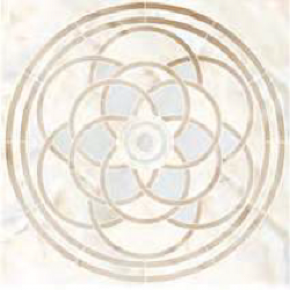 SP/d20-cut/1200x1200