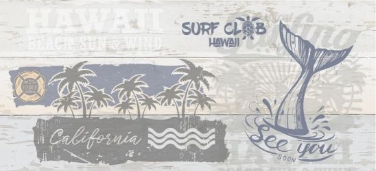 SRG451D Surf Многоцветный 44*20