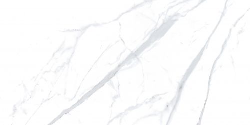 ST016012N Керамогранит Statuario White 60х120