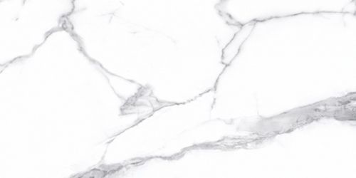 STATUARIO BIANCO RETT LEVIGATO 60x120