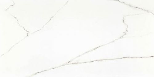 STATUARIO Parlak Nano Rectified 60х120