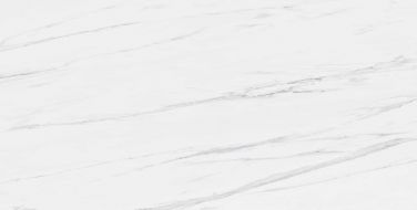 STATUARIO VENATO 60x120