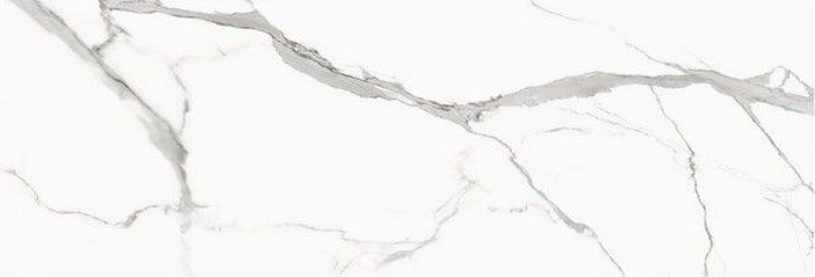 STATUARIO VENATO Polished 240x80
