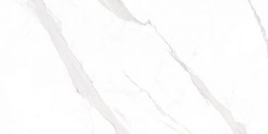 STATUARY Blanco 60x120