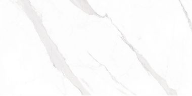 STATUARY Leviglass Blanco 30x60
