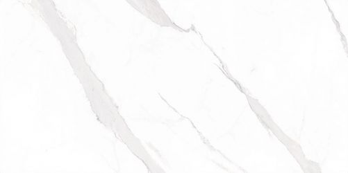 STATUARY Leviglass Blanco 30x60