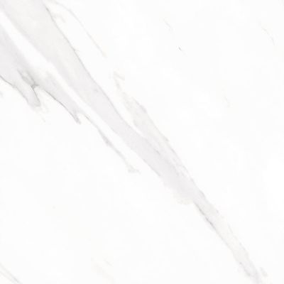 STATUARY Leviglass Blanco 60x60