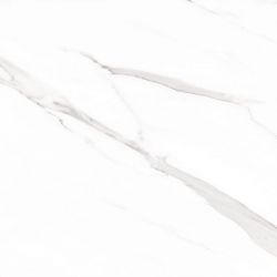 STATUARY Leviglass Blanco 75x75