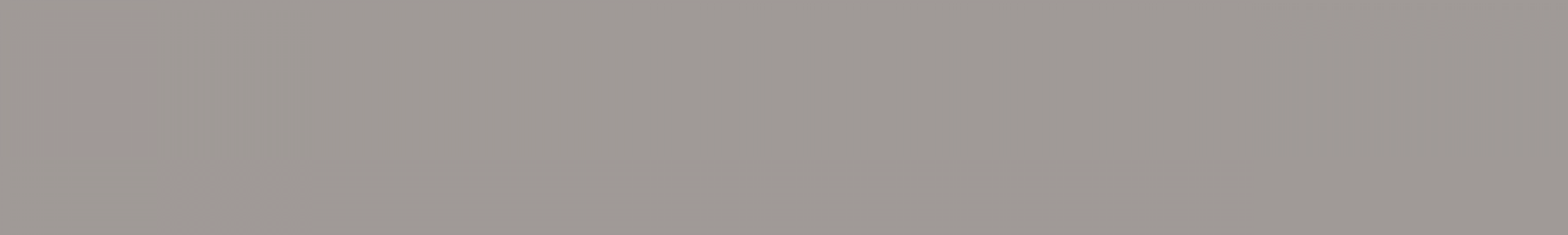 STRIP Color № 06 - Light Grey (Brown.) 2.1х13.7