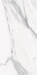 STSK STATUARIO SILK 120x278