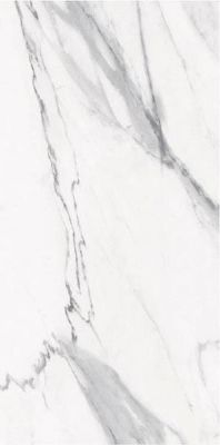 STSK STATUARIO SILK 120x278