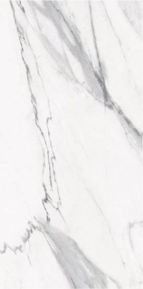 STSK STATUARIO SILK 120x278
