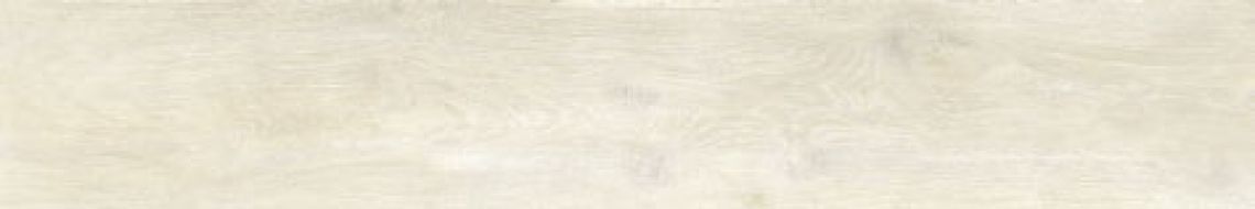 SWK1210 STEAM WORK IVORY 20x120