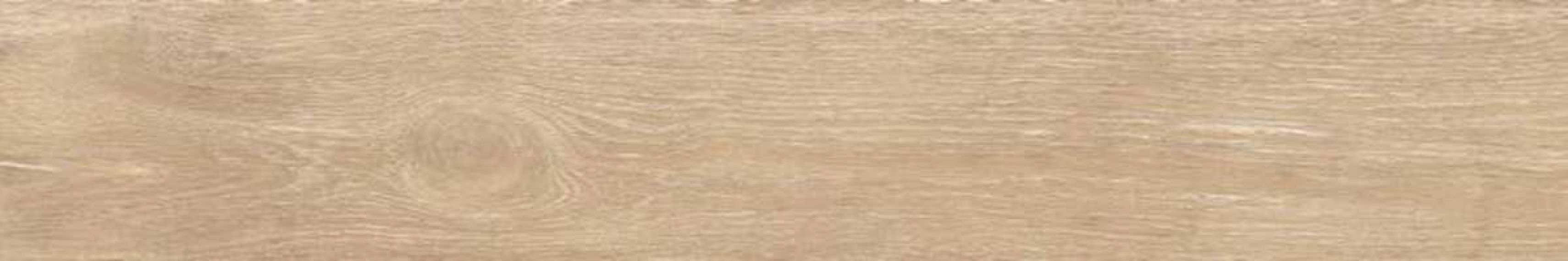 SWK1220 STEAM WORK QUERCUS 20x120