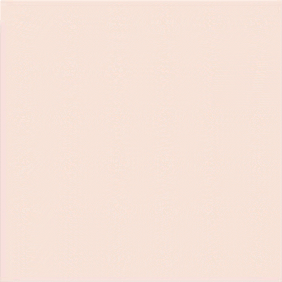 Salmon Mate 20x20