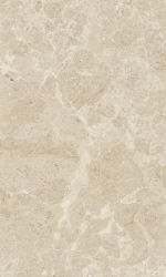 Saloni brown 01 30*50