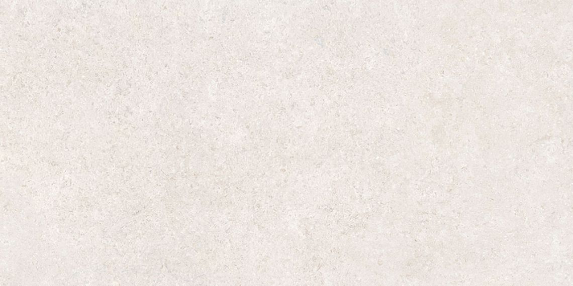 SandStone Белый Матовый R10A Ректификат 9мм 60х120